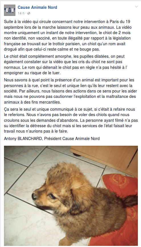 Cause_Animale_Nord_-_2015-09-23_09.17.59