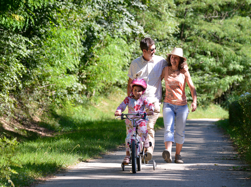 Opération des abeilles à Lyon
